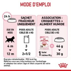 Royal Canin Kitten En Sauce 12 X 85 Grs -Animal Boutique royal canin kitten en sauce 7