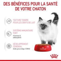 Royal Canin Kitten En Sauce 12 X 85 Grs -Animal Boutique royal canin kitten en sauce 8