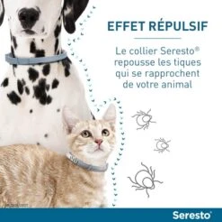Seresto Collier Antiparasitaire Grand Chien X2 -Animal Boutique serestochatchien 4