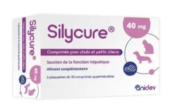 Silycure 40 Mg Chat Et Petit Chien 150 Cps