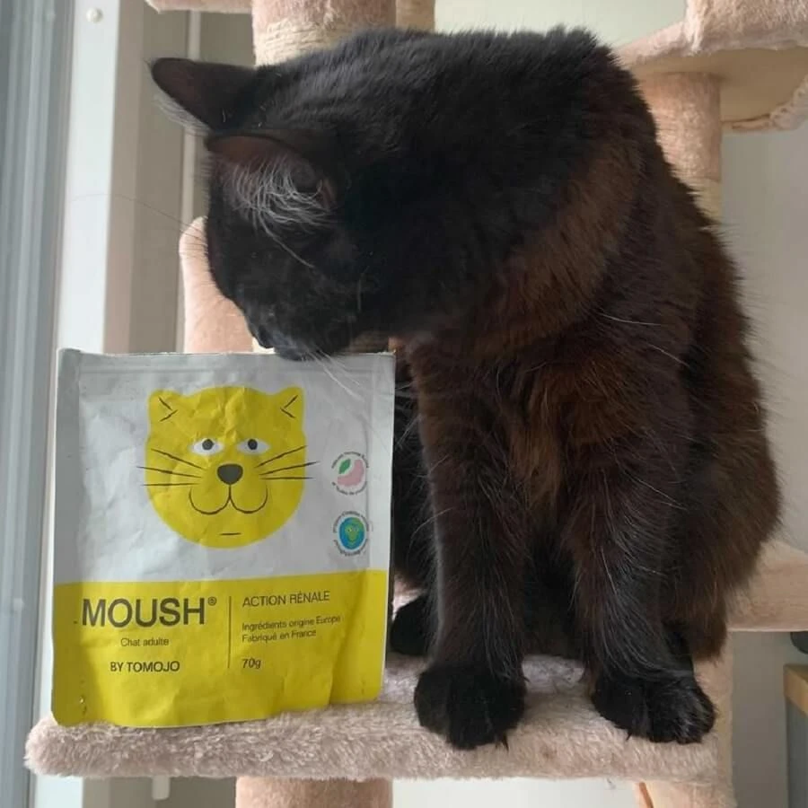 Tomojo Moush Friandises Action Rénale Chat 70 G 2 Tomojo Moush Friandises Action Rénale Chat 70 G – Image 2