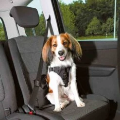 Trixie Harnais Pour Voiture Dog Comfort L -Animal Boutique trixie harnais pour voiture dog comfort l3