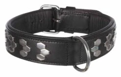 Trixie Active Collier Avec Rivets XL 65 à 75 Cm