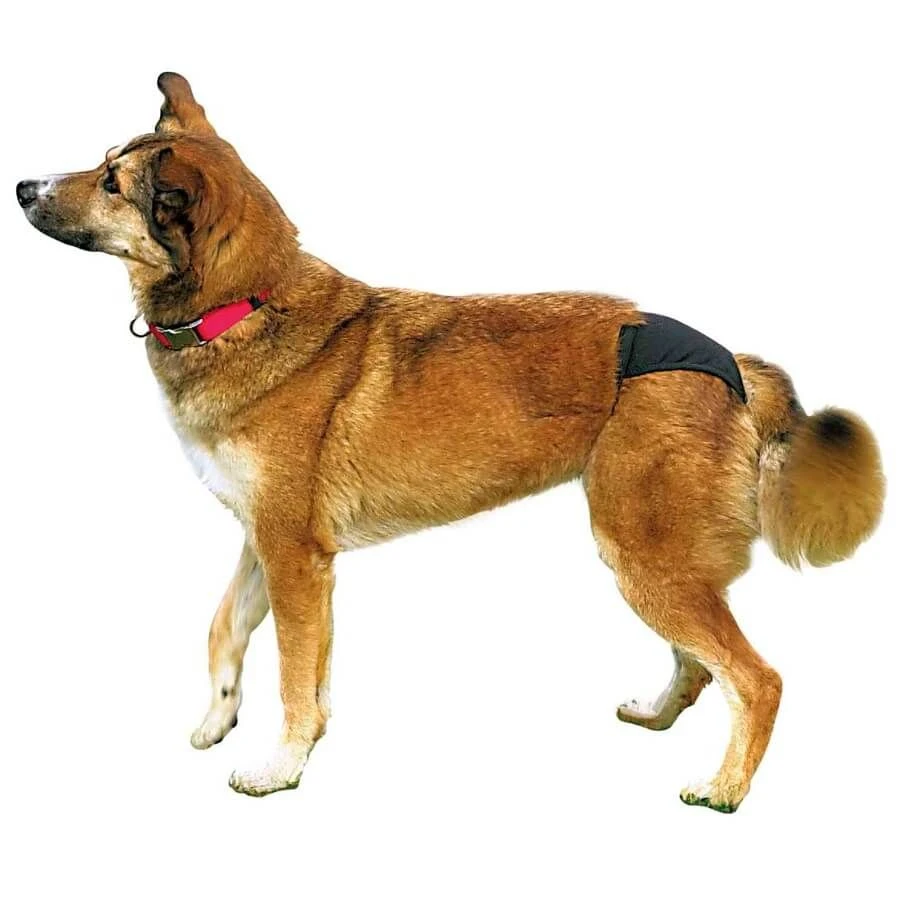 Trixie Slip De Protection Pour Chien XL – Image 2