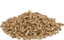 Versele Laga GOLD 4 Gallico Pellet 5 Kg -Animal Boutique versele laga gold 4 gallico pellet 5 kg3