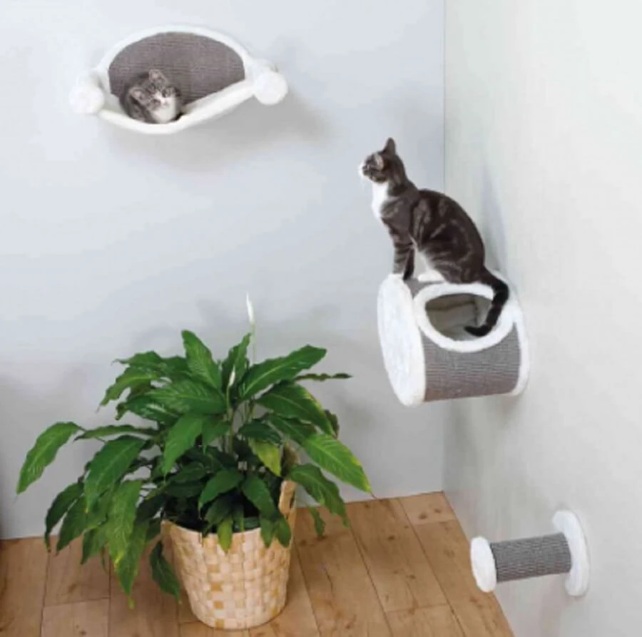 Trixie Barreau D'escalade à Fixer Au Mur Pour Chat ø 18 × 22 Cm 3 Trixie Barreau D'escalade à Fixer Au Mur Pour Chat ø 18 × 22 Cm – Image 3