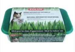 Zolux Herbe Dépurative Naturelle Pour Chat 250 G -Animal Boutique zolux herbe depurative naturelle pour chat 250 g3
